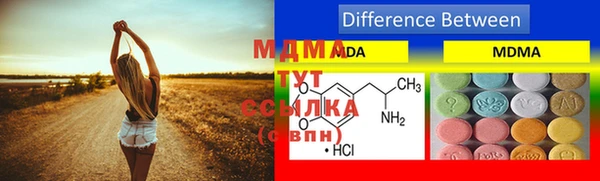 мдпв Богданович