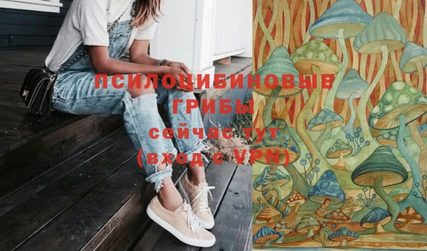 мдпв Богданович