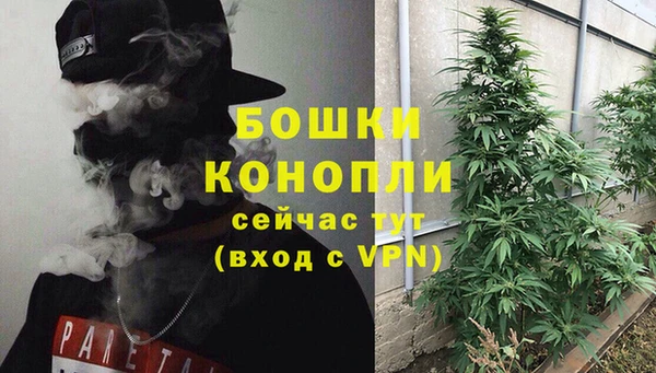 мдпв Богданович