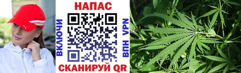 наркота  Циолковский  МАРИХУАНА White Widow 
